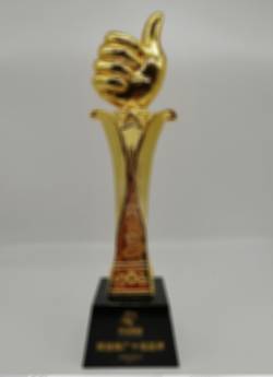 榮譽(yù)資質(zhì)